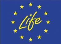 2024 calls for project proposals of the LIFE programme - LIFE programme logo