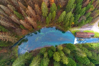 Monitoring to improve resilience of European forests 2- Copyright Igor Popovic, Climate Change PIX - EEA