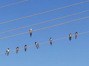 Necmettin  Kan, Climate Change PIX EEA