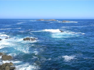 Shellfish and fisheries sector in Galicia impacted by tropicalization - Copyright Viviana Couto Sayalero - Unsplash.com