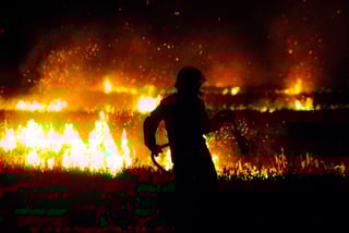 Spanish research explored participatory fire-management strategies - Copyright Second Sight - Unsplash.com