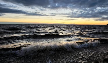 Tarmo Selter, Well with Nature EEA-crop