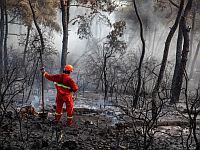 Wildfires in the EU - 2022 was the second-worst year - Copyright Onur Doğman, Well with Nature - EEA